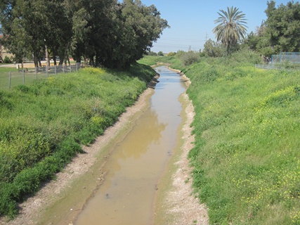 The Lachish River. Photo: Yoav Devir