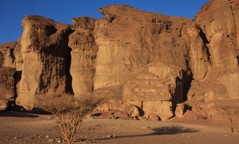 Photo: Yaakov Shkolnik