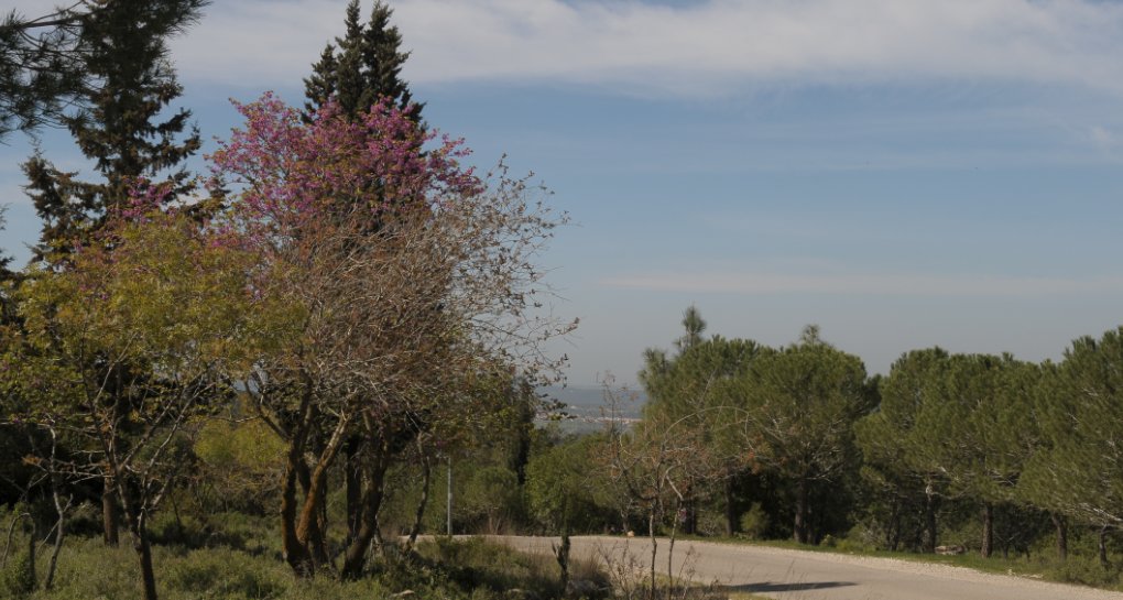 USA Independence Park. Photo: Guy Assayag