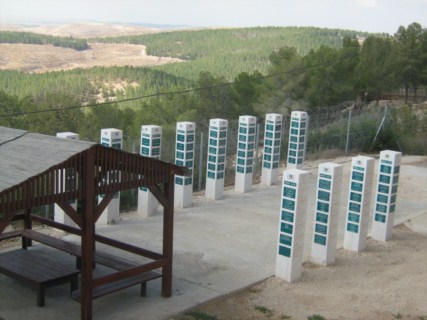 Photo: Tania Susskind.