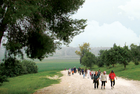 Visitors to the forest.
Visitors to the forest.
Visitors to the forest.
Visitors to the forest. Photograph: Yaakov Shkolnik, KKL-JNF Photo Archive