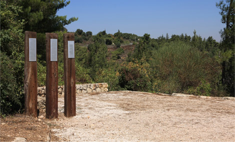 Photo: Yaakov Shkolnik