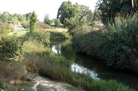 Photo: KKL-JNF Photo Archive.