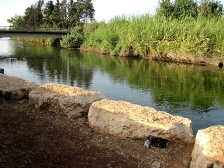 Photo: KKL-JNF Photo Archive