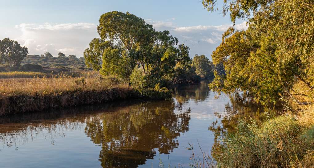 Photo: KKL-JNF Photo Archive