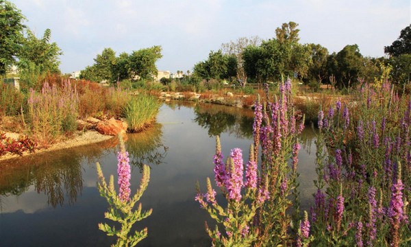 Rosh Tzipor canal. Photo: Yaakov Shkolnik, KKL-JNF Photo Archive