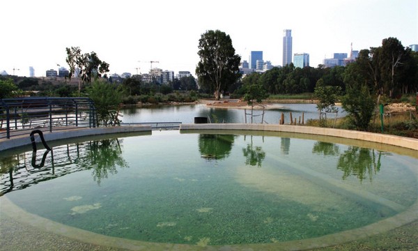 Constructed ponds at Rosh Tzippor. Yaakov Shkolnik, KKL-JNF Photo Archive