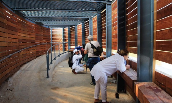 Inside Rosh Tzippor birdwatching hide. Yaakov Shkolnik, KKL-JNF Photo Archive