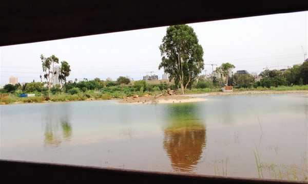 View from inside the Rosh Tzippor birdwatching hide. Yaakov Shkolnik, KKL-JNF Photo Archive