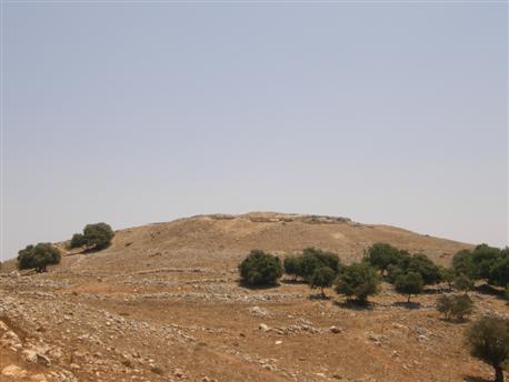 Photograph: Yaakov Shkolnik