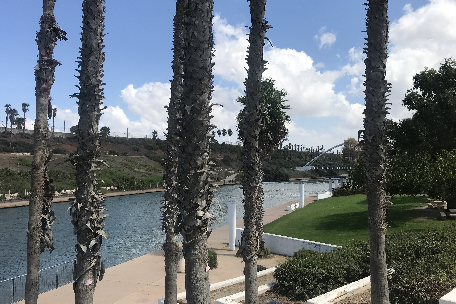 Hadera River park. Photo: Hani Kahalani, KKL-JNF Photo Archive