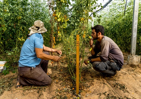 Photo: Eitan Vitkon, KKL-JNF Photo Archive