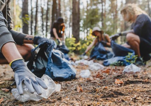 Photograph: Shutterstock