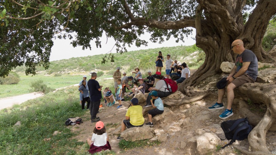 Sitting beneath an ancient olive tree. Photo: Yoni Sheffer, KKL-JNF