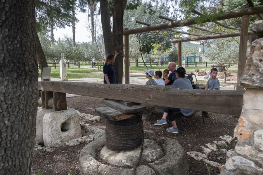 KKL-JNF Archaeology Garden in Givat Yeshayahu. Photo: Yoni Sheffer
