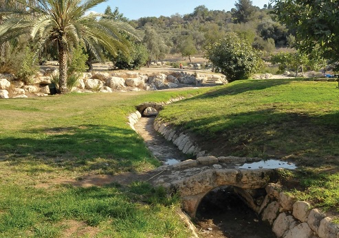 The Tmarim Spring