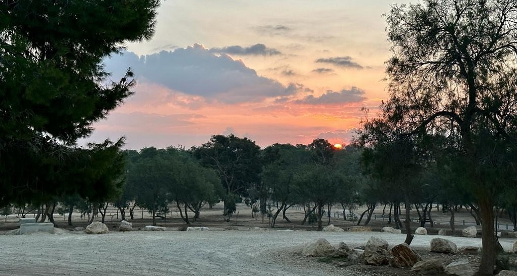 Photograph: Bonnie Sheinman, KKL-JNF