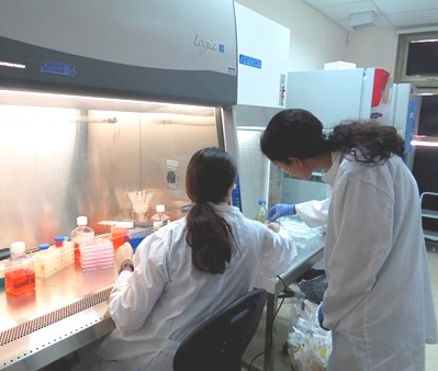 Students embarking on research at the Yair Research and Development Station