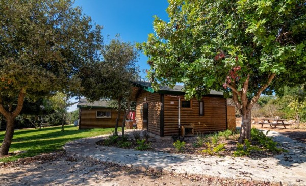 Photograph: Bonnie Sheinman, KKL-JNF Photo Archive