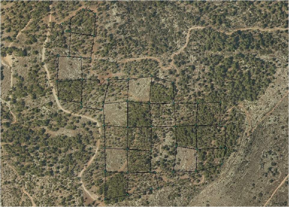 Aerial Photograph of the Research Site in the Martyrs’ Forest