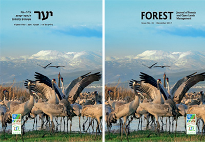 Forest - Journal of Forestry, Woodlands & Environment