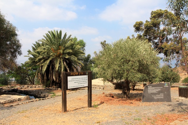 Ein Akuv Recreation Area. Photo by: Yaacov Shkolnik, KKL-JNF Photo Archive