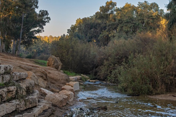 Sharsheret Park - Nahal Grar. Photo by: Bonnie Sheinman, KKL-JNF Photo Archive