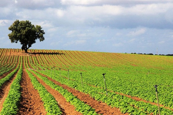 Central Besor Route. Photo by: Yaacov Shkolnik, KKL-JNF Photo Archive