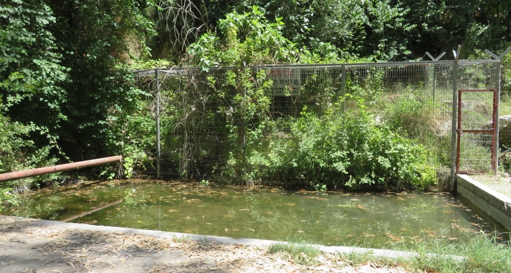 Ein Yarda, Mahana'im Stream. Ein Shulamit. Photograph: Dr. Orit Schotalski