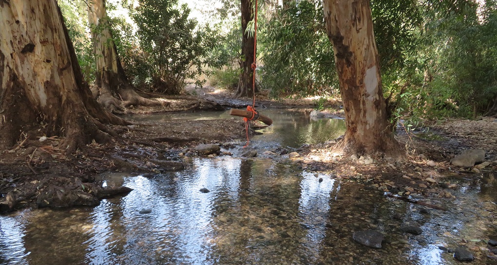 Ein Yarda, Mahana'im Stream. Photograph: Dr. Orit Schotalski