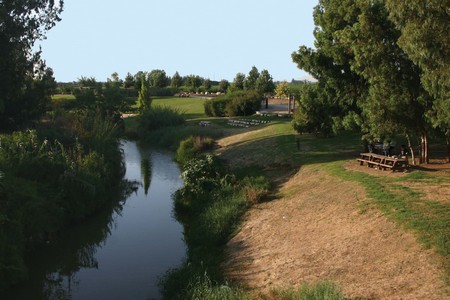 Alexander River. Photo: KKL-JNF Photo Archive