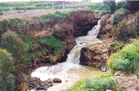 Harod River. Photo: KKL-JNF Photos Archive