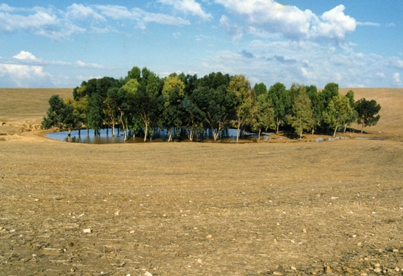 Photo: KKL-JNF Photo Archive